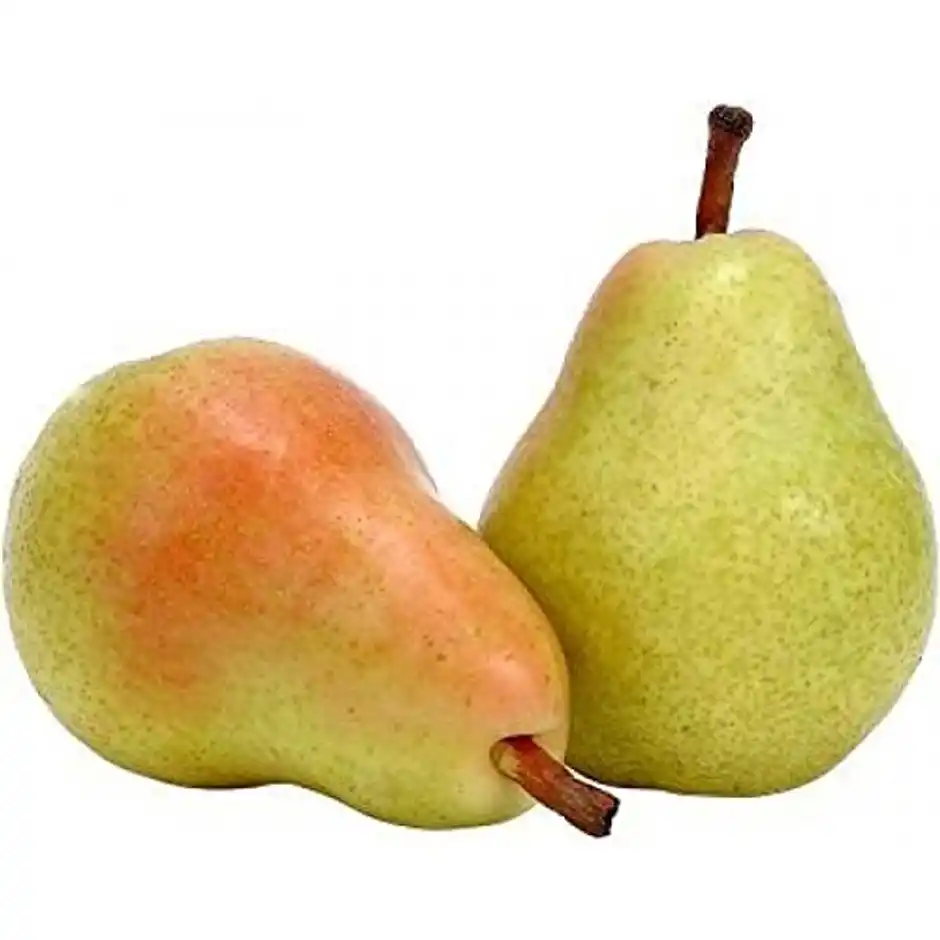 Pear