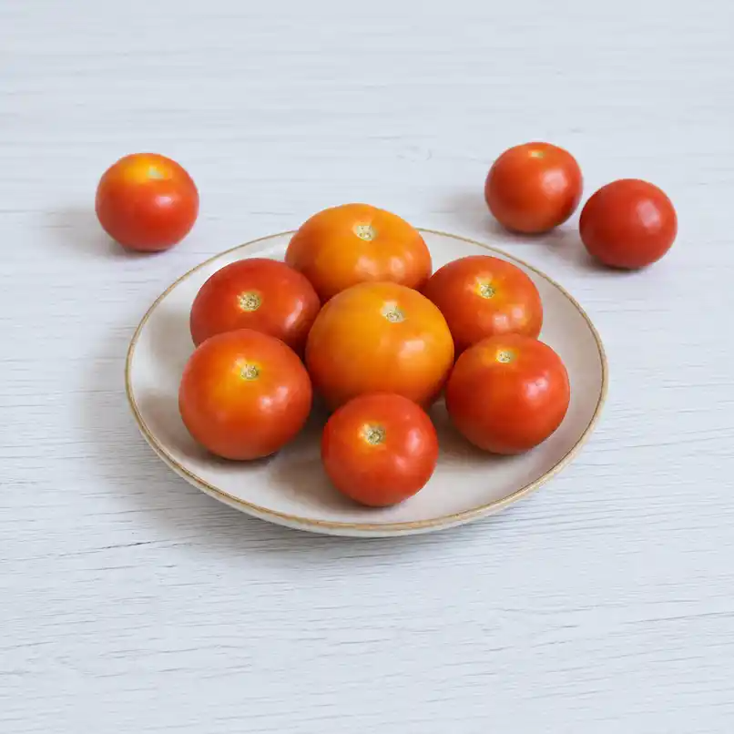 Tomato